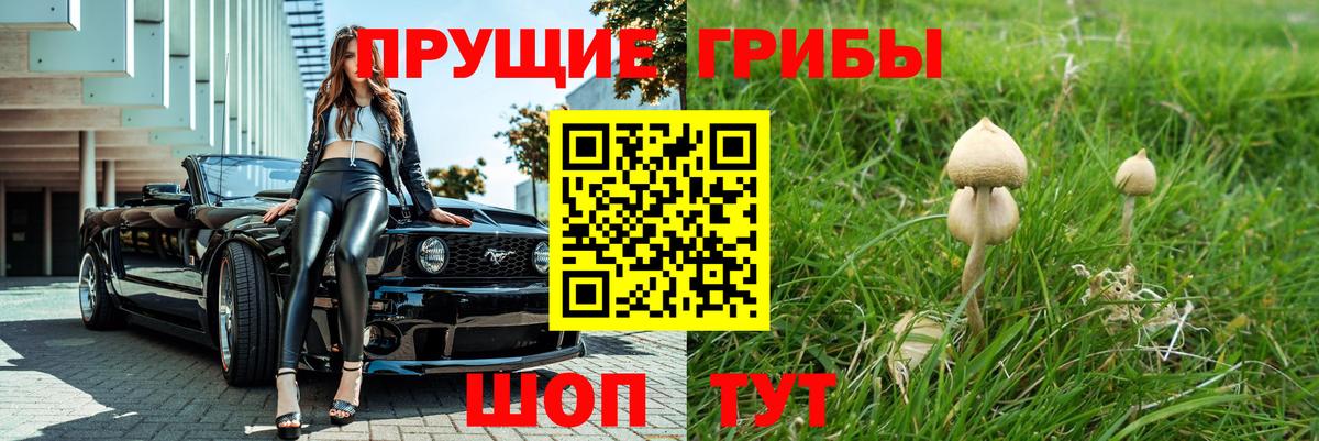 Псилоцибиновые грибы Psilocybine cubensis  Вход с VPN  Семёнов 